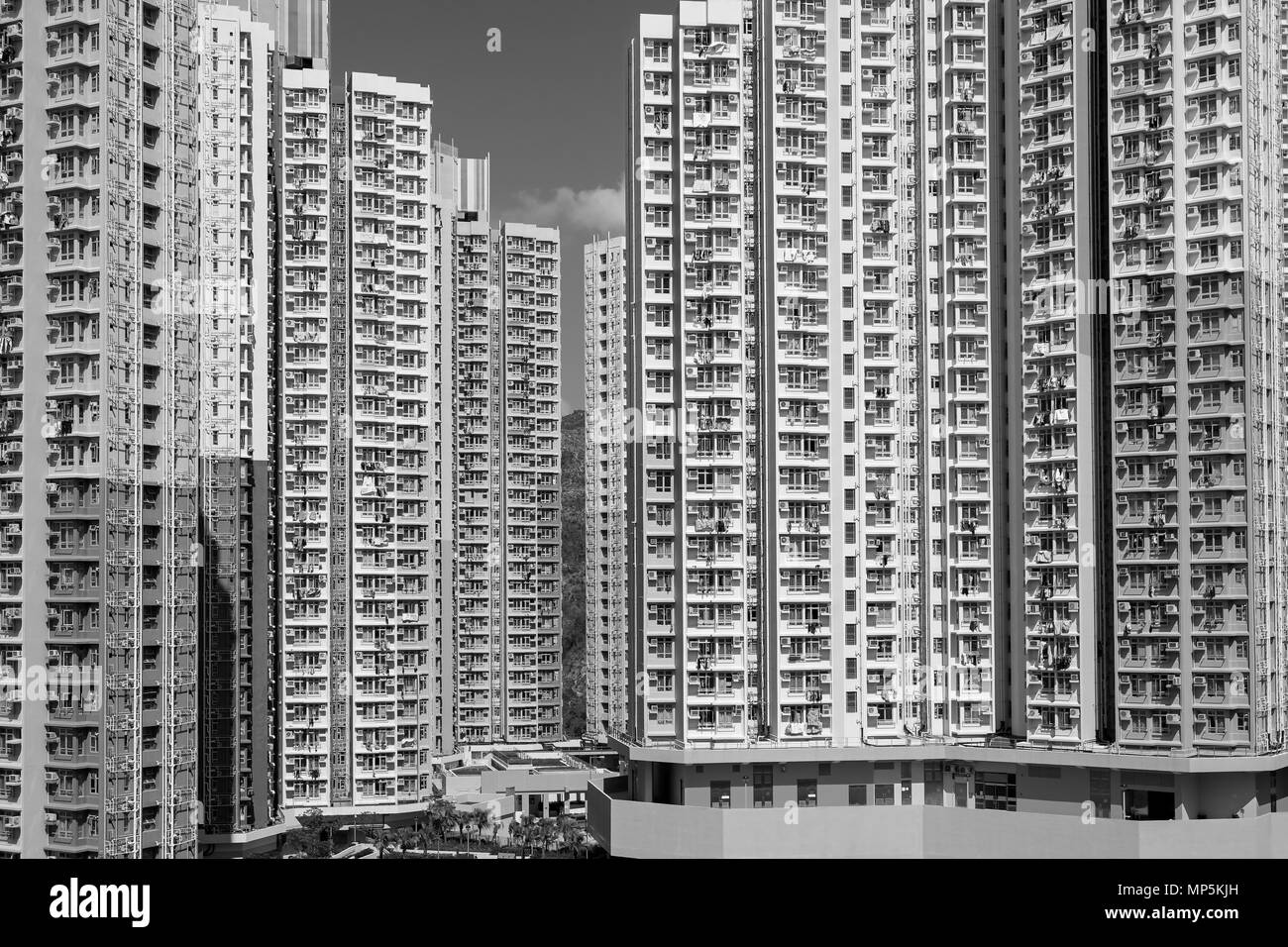 Public housing in Hong Kong (black and white Stock Photo Alamy