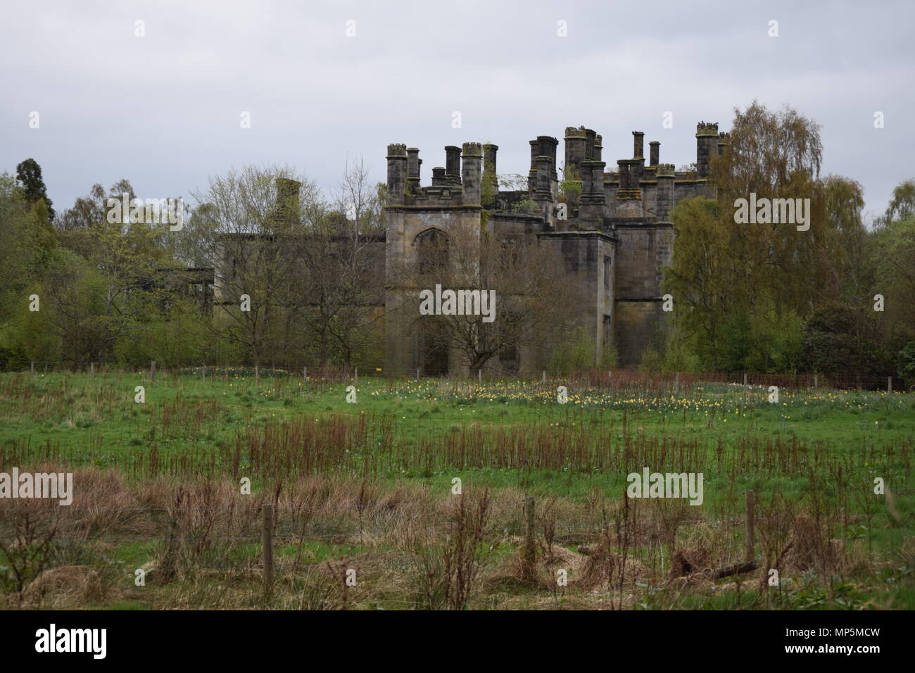 the pineapple and Dunmore house near airth Scotland,big trees Stock