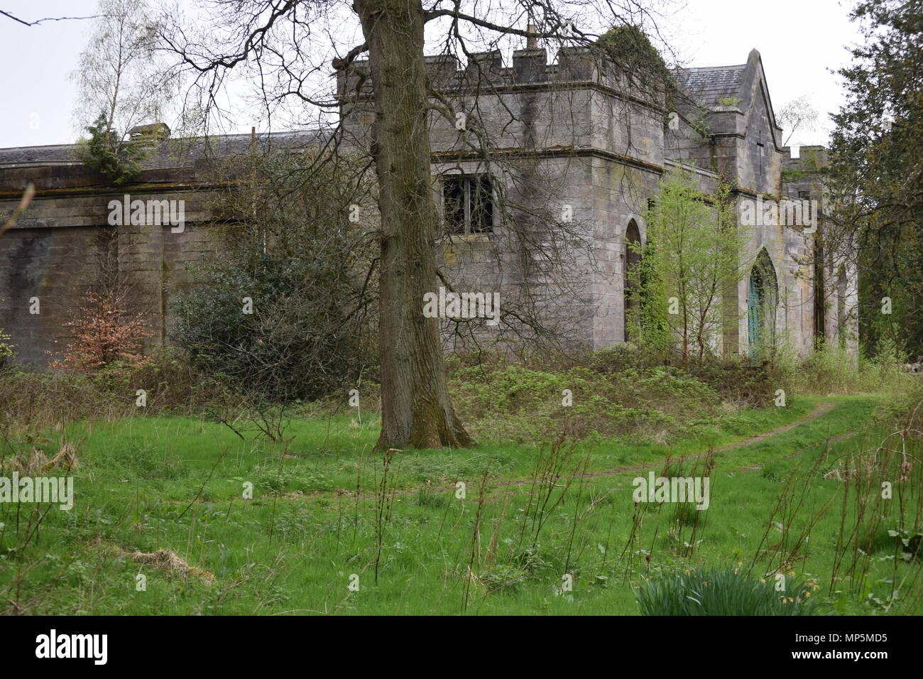 the pineapple and Dunmore house near airth Scotland,big trees Stock