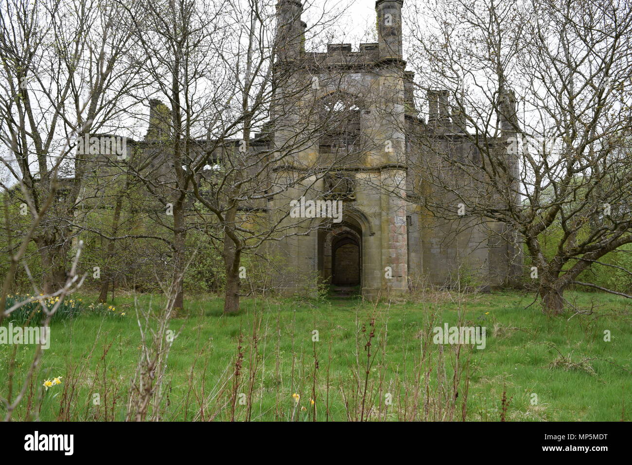 the pineapple and Dunmore house near airth Scotland,big trees Stock