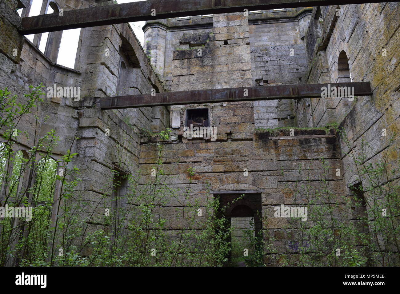 the pineapple and Dunmore house near airth Scotland,big trees Stock