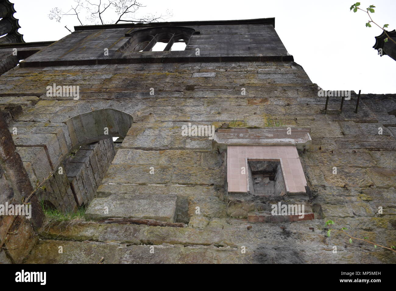 the pineapple and Dunmore house near airth Scotland,big trees Stock