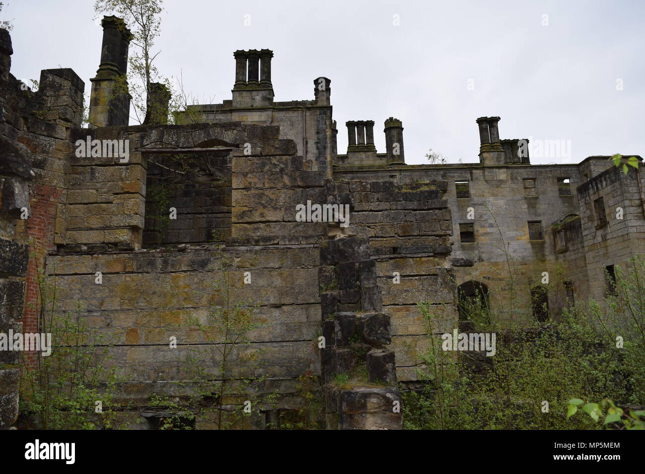 the pineapple and Dunmore house near airth Scotland,big trees Stock