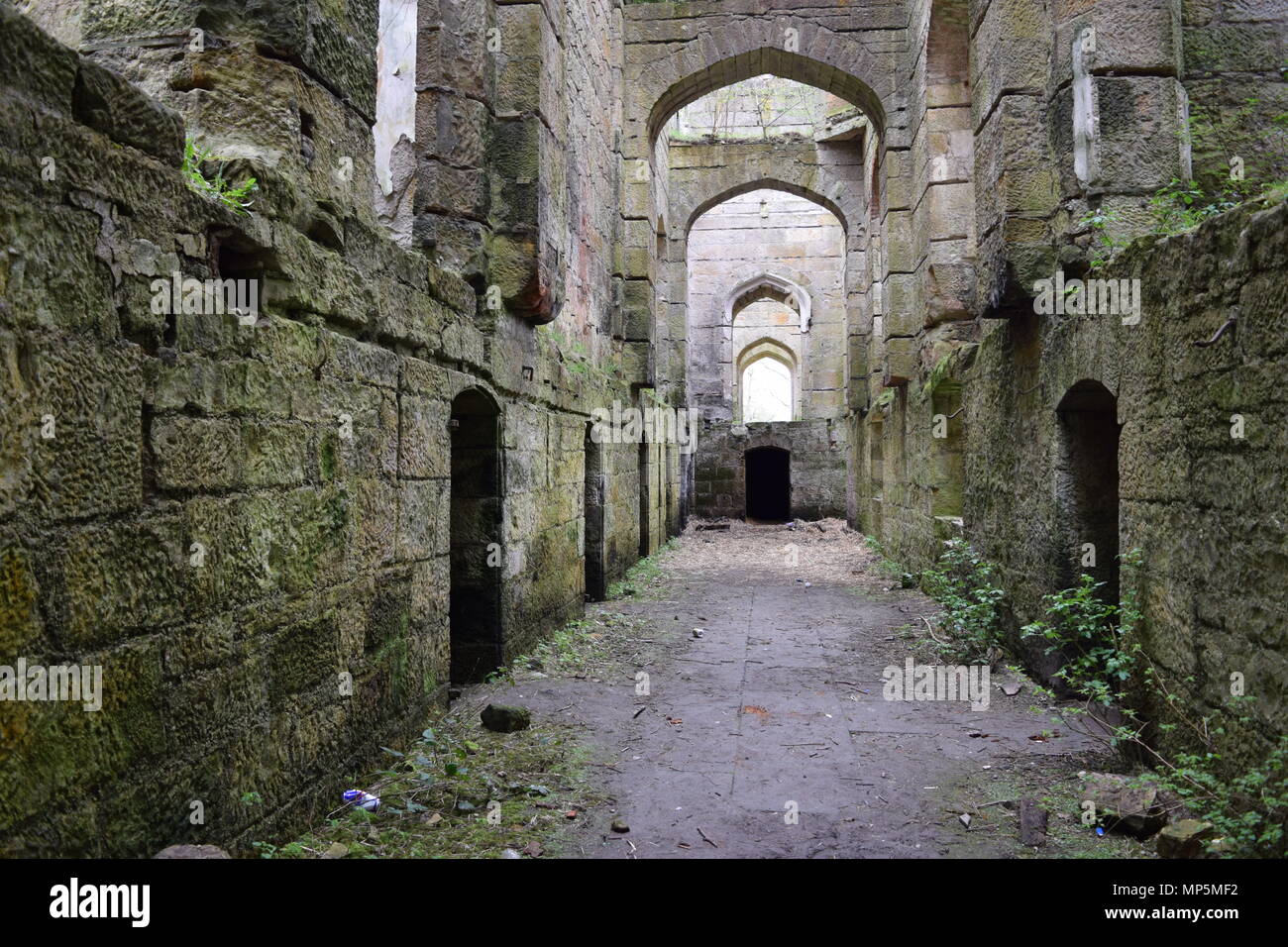 the pineapple and Dunmore house near airth Scotland,big trees Stock