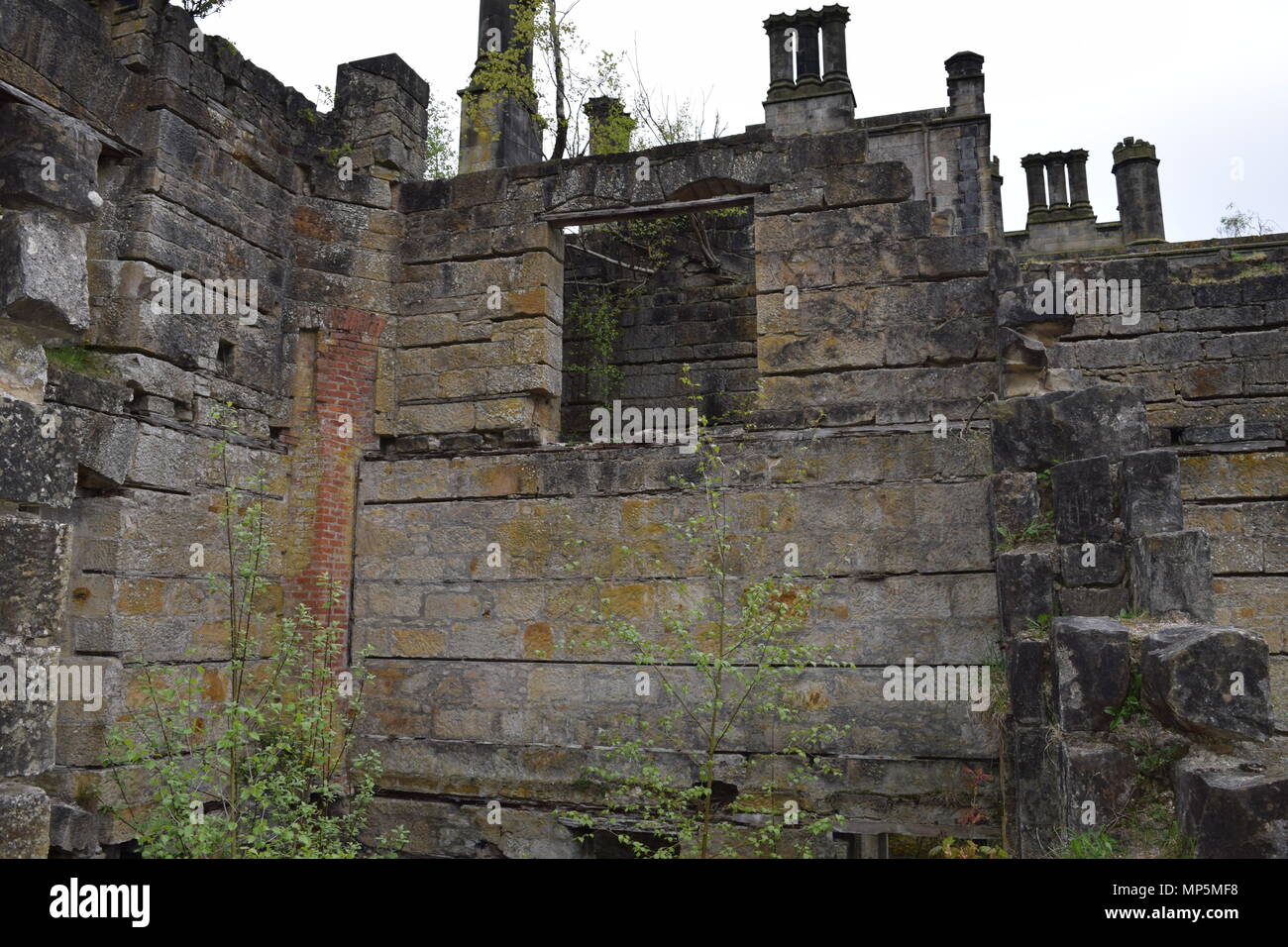 the pineapple and Dunmore house near airth Scotland,big trees Stock