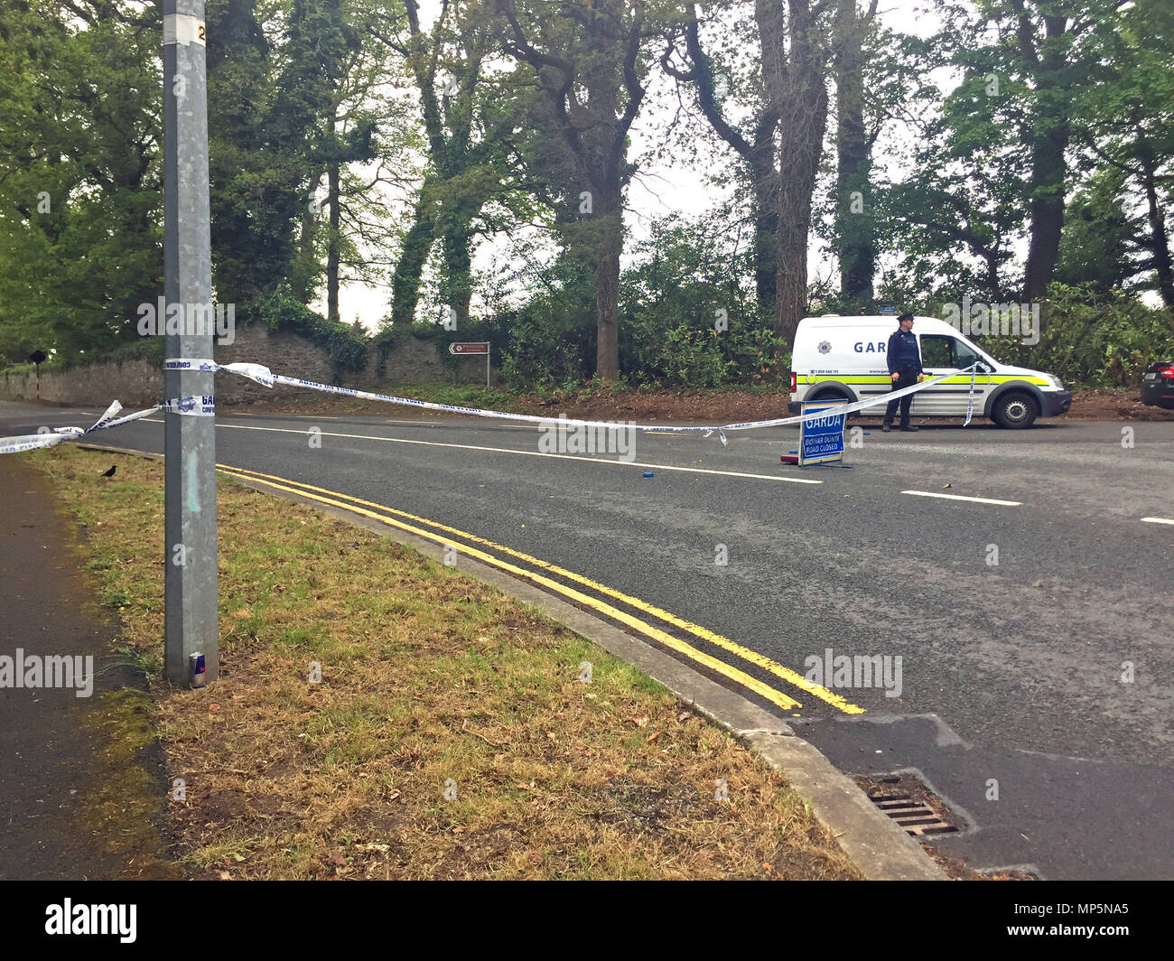 enniskerry dirt jumps