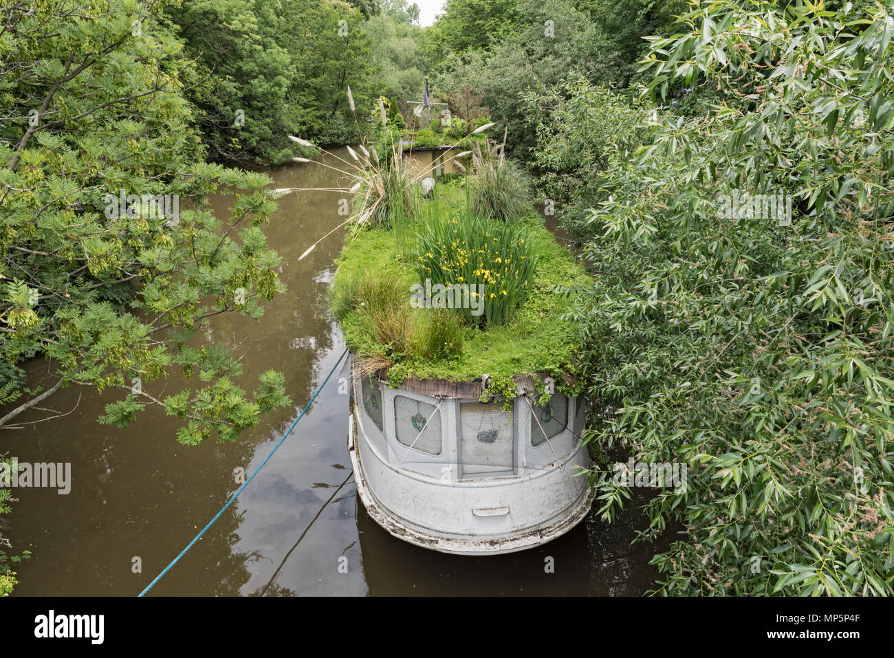 Houseboat with roof garden on the southern shore of the River Main, Frankfurt am Main, Germany Stock Photo