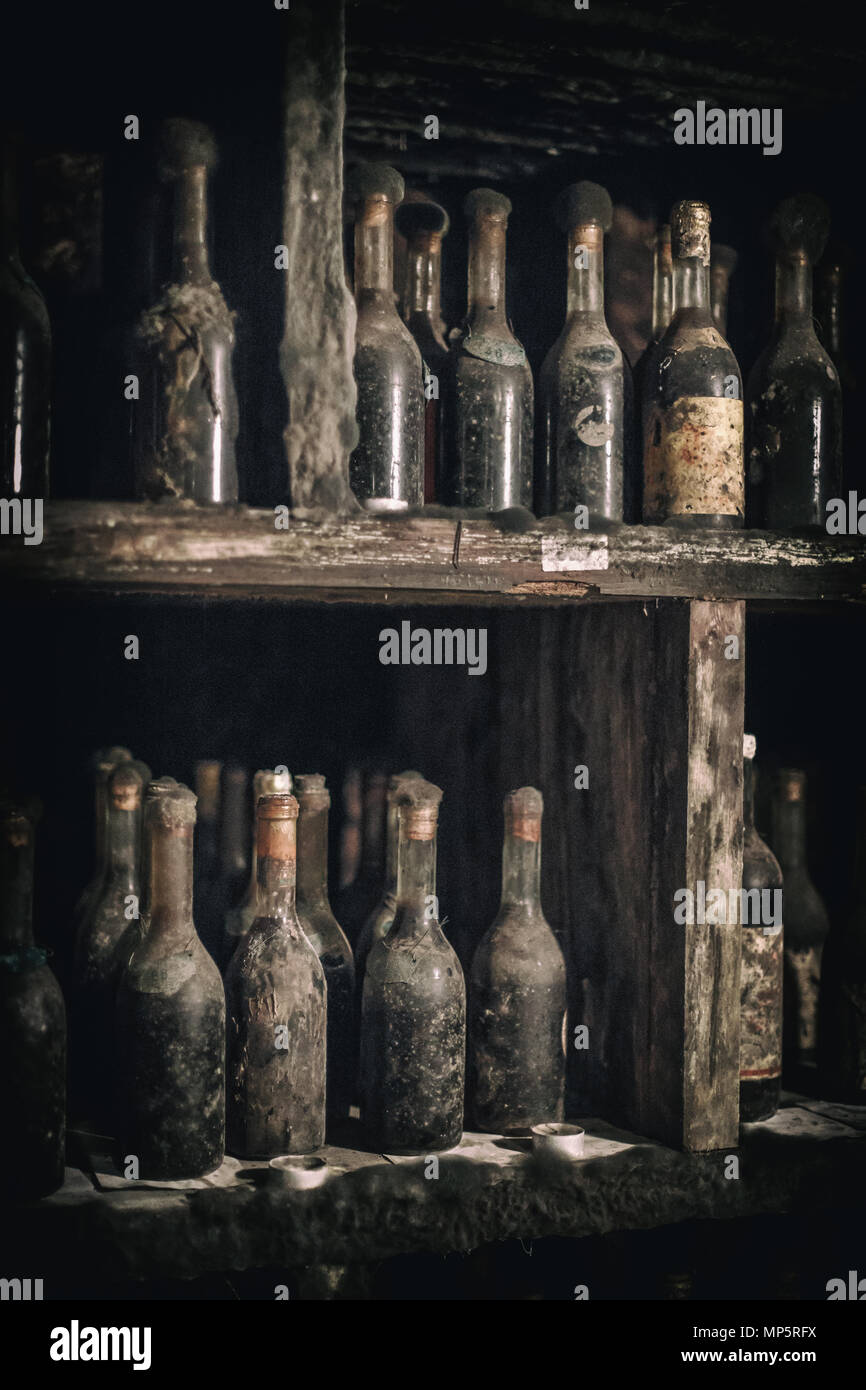 Black mold hires stock photography and images Alamy