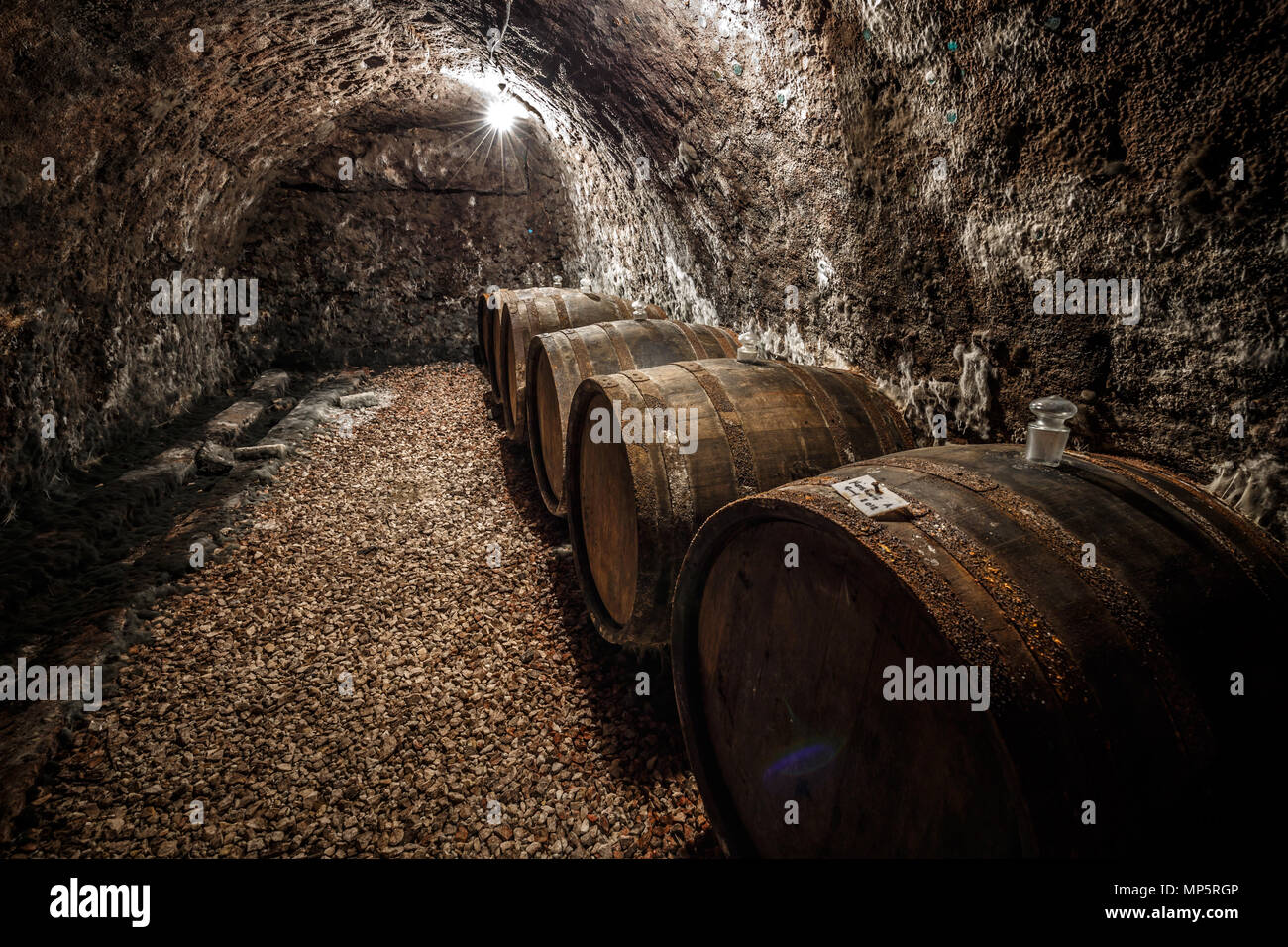Wine barrels row in the old cellar of the winery Stock Photo - Alamy