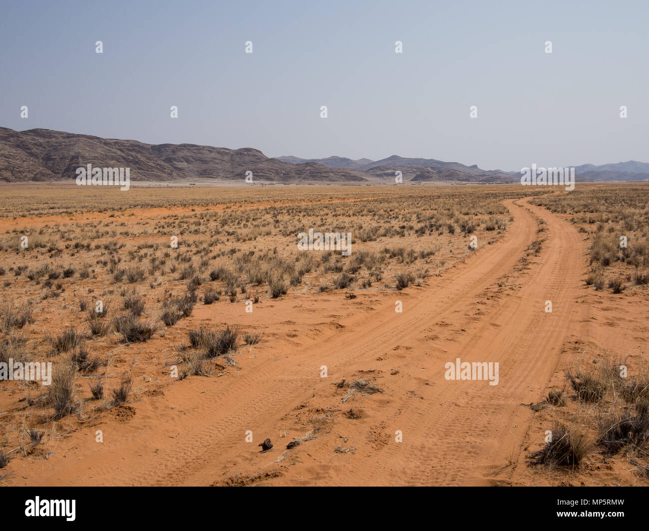 Empty tire track dirt road in Namib desert with mountains, Damaraland, Namibia, Southern Africa Stock Photo