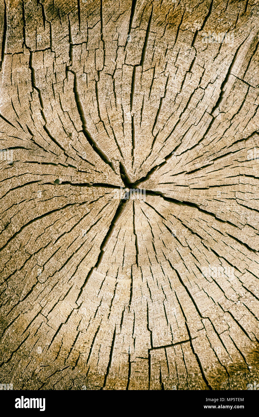 Wood texture and cracks Stock Photo Alamy