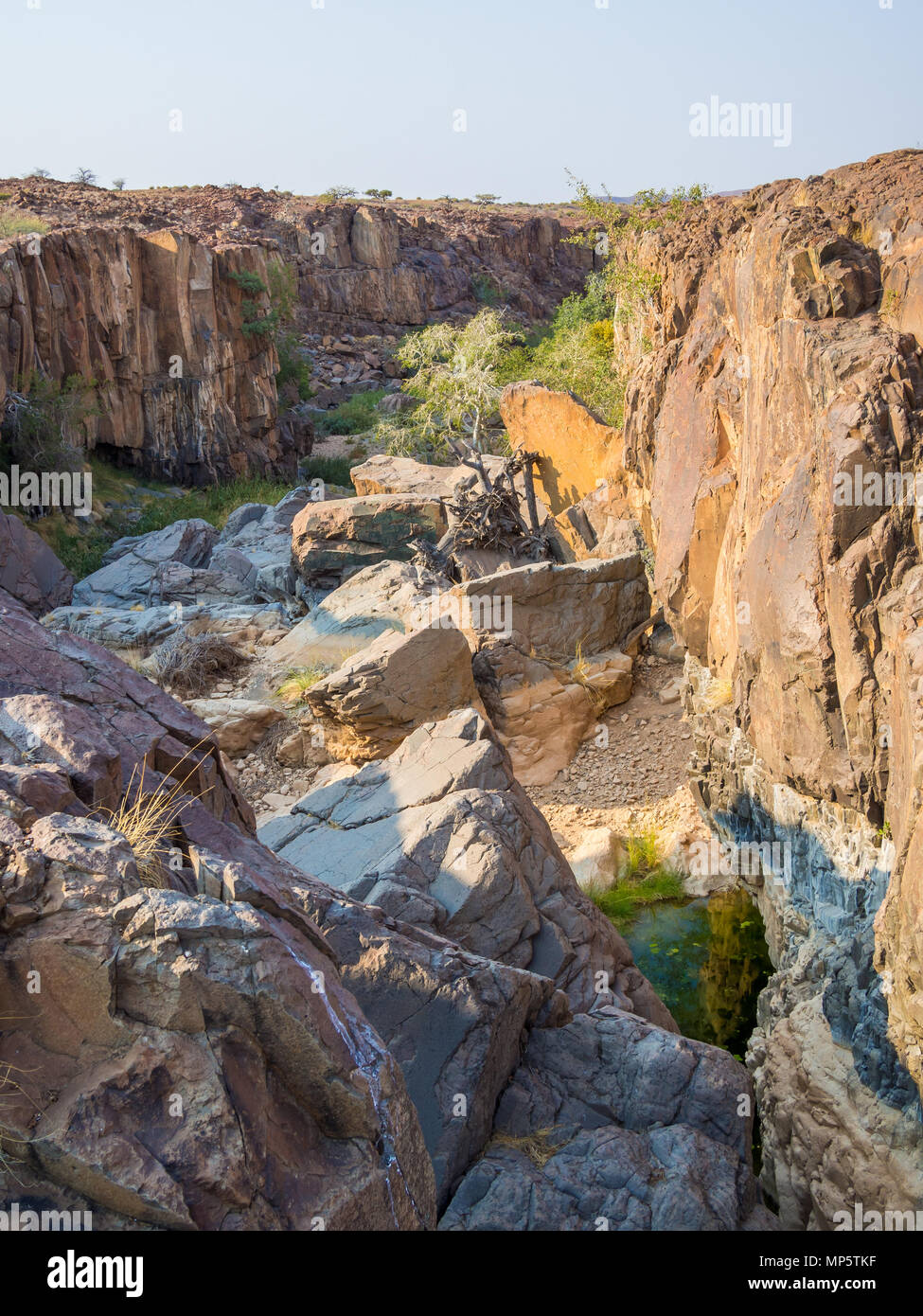 Rocky canyon with green bushes and trees in Palmwag Concession, Namibia, Southern Africa Stock Photo