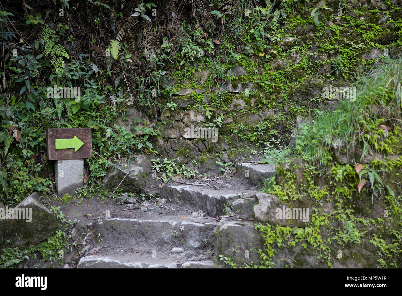 Detail of the Machu Picchu Inca citadel in Peru Stock Photo - Alamy
