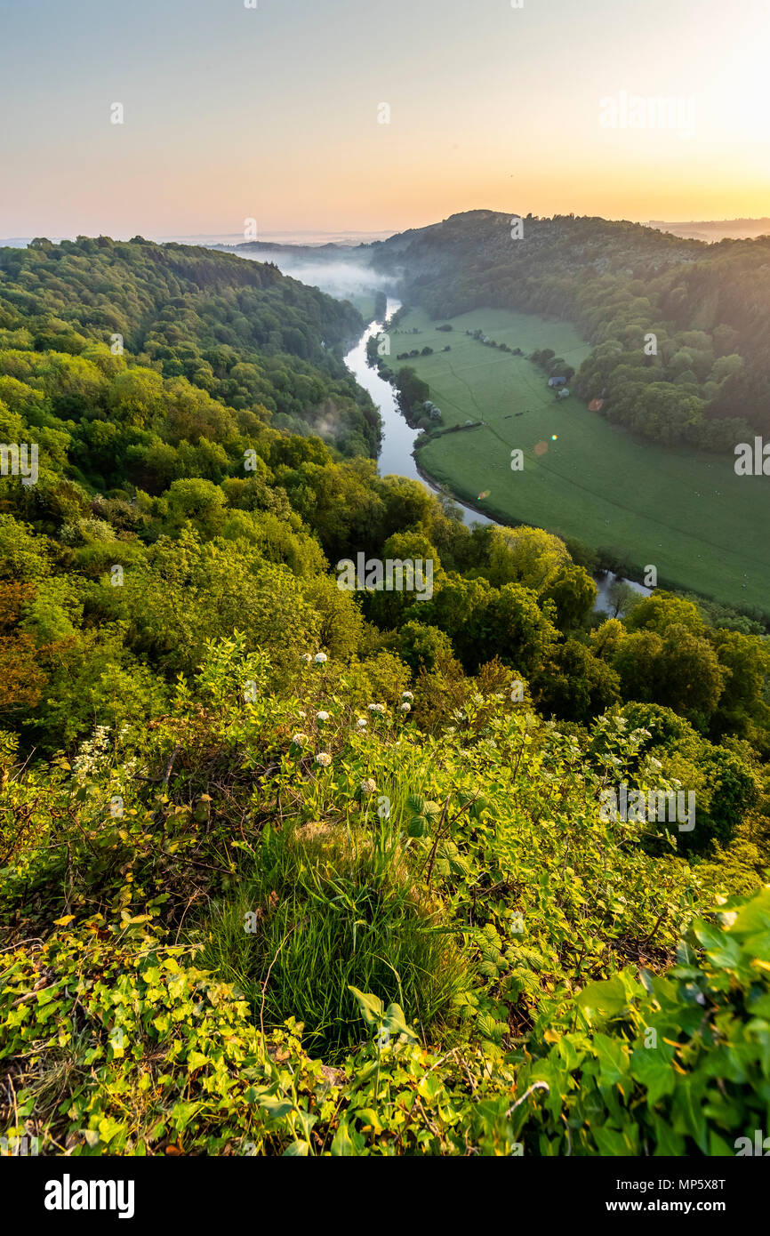 Symonds Yat Rock at dawn. Forest of Dean. Gloucestershire. Stock Photo