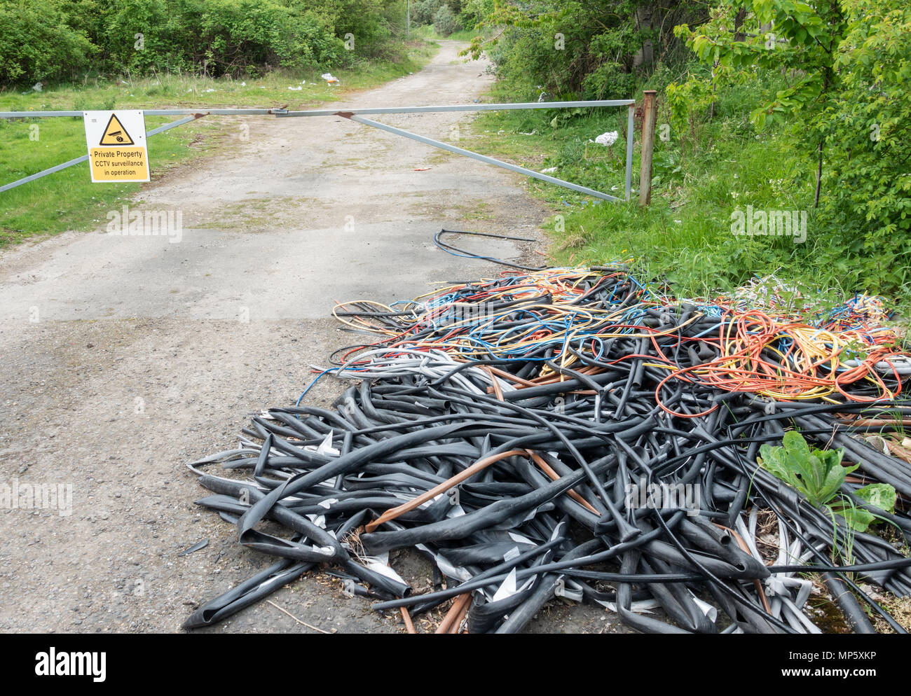 Cables stripped of copper fly tipped behind hedge. UK Stock Photo