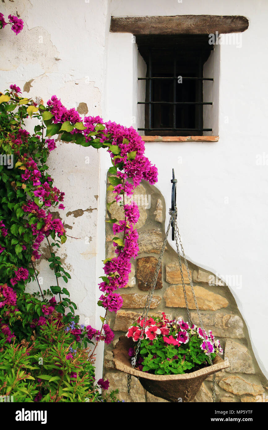 Beautiful facade of a village house, decorated with flowers Stock Photo