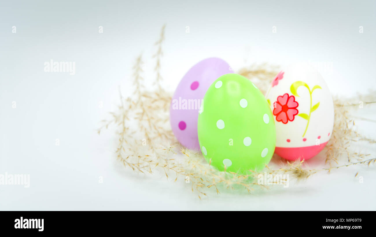 Happy easter, colorful easter egg on white backgrounds, easter holiday decorations, easter concept backgrounds Stock Photo