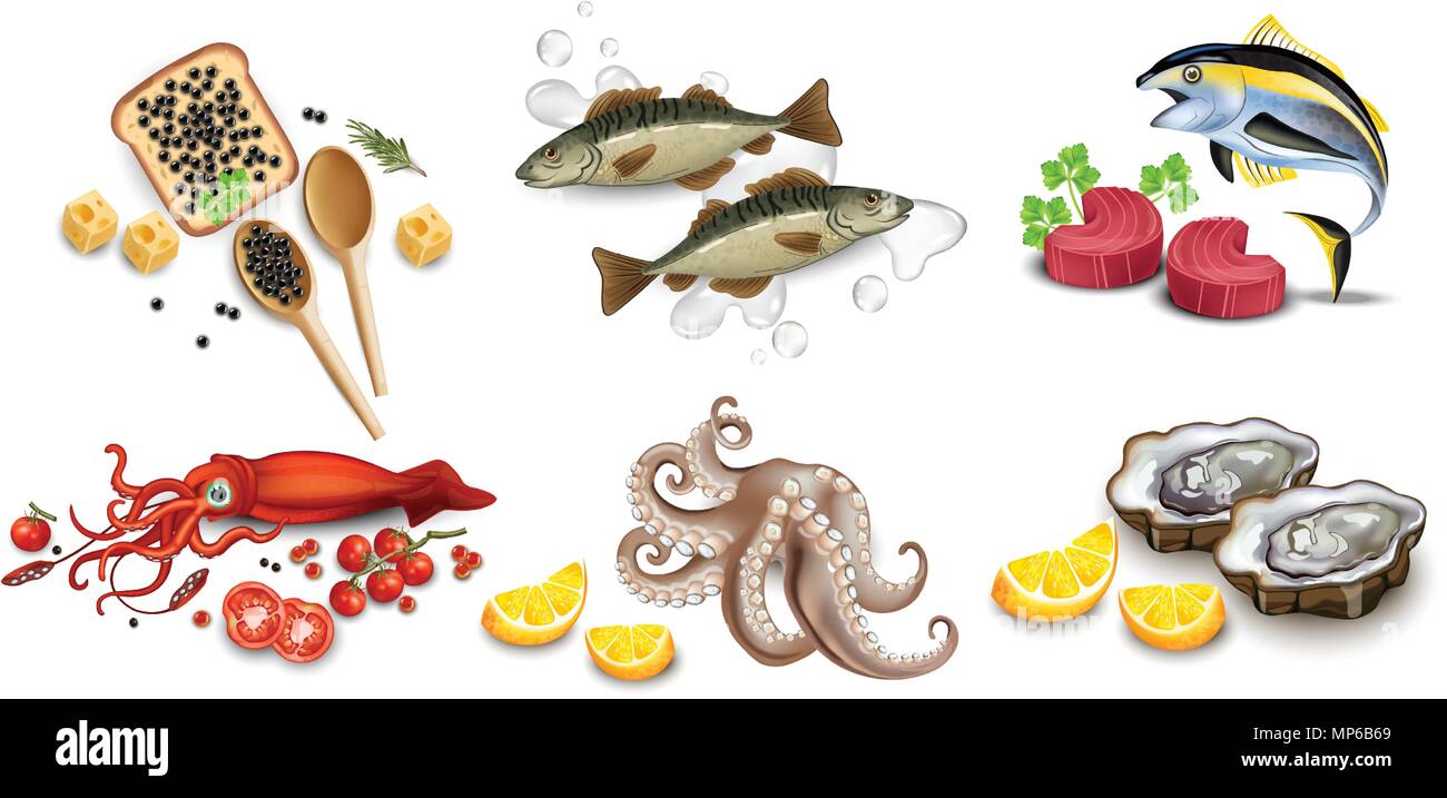 Tuna fish, caviar, squid, oysters and octopus seafood set. Vector