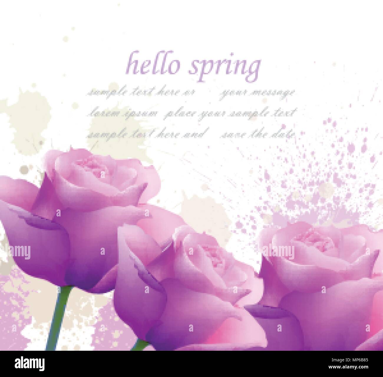 Hello spring violet roses and splash Vector. Romantic passional ...