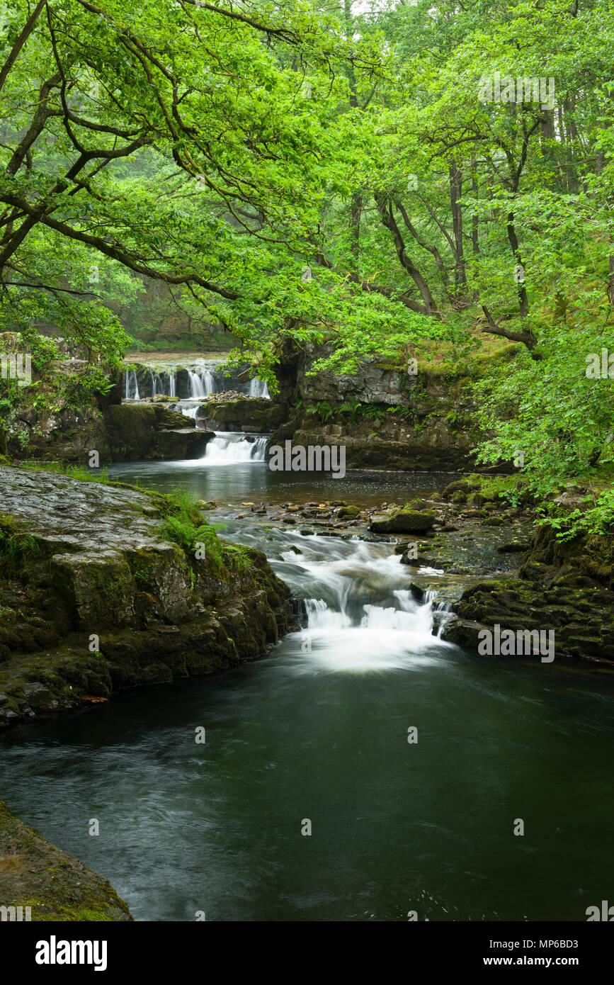 Sgwd y Bedol (Horseshoe Falls) waterfalls on the Nedd Fechan in the