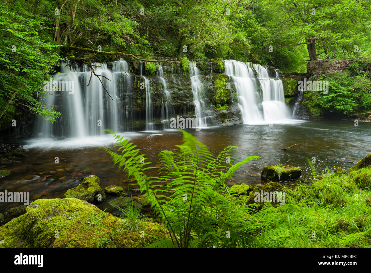 Sgwd y Pannwr (Fall of the Fuller) waterfall on the Afon Mellte river ...