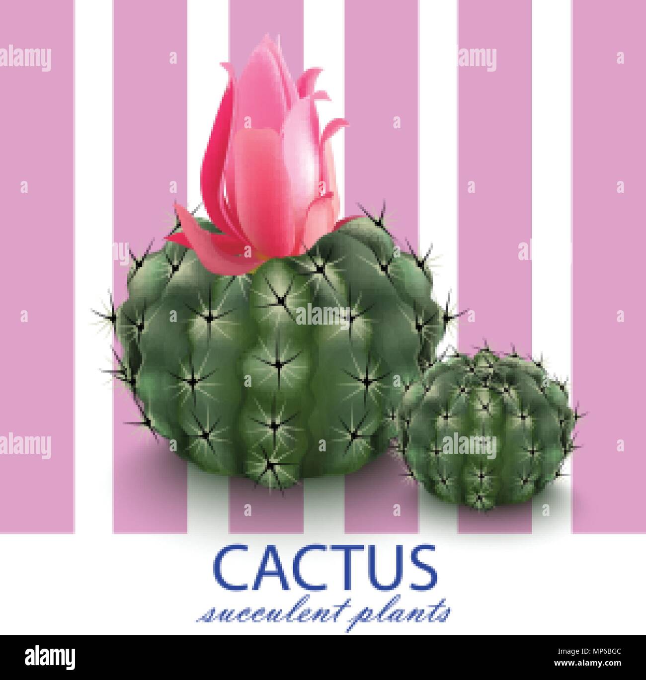 Pink cactus decor abstract background Vector illustration Stock Vector ...