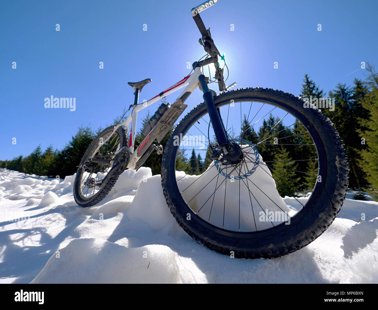 Large mountain bike in stock new arrivals