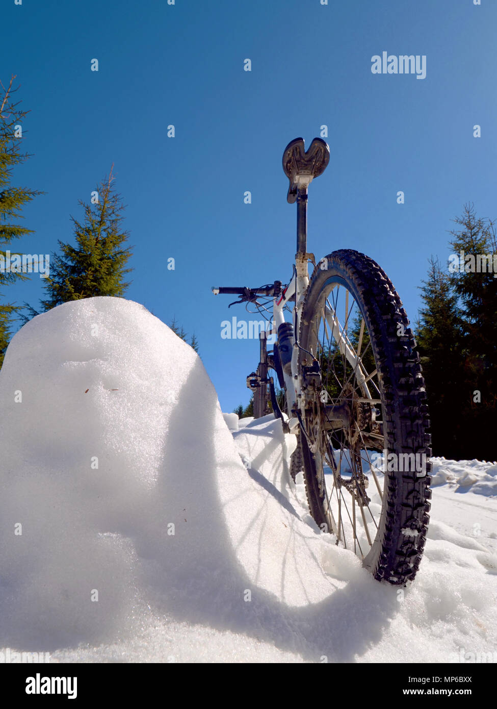 fat wheel mountain bike