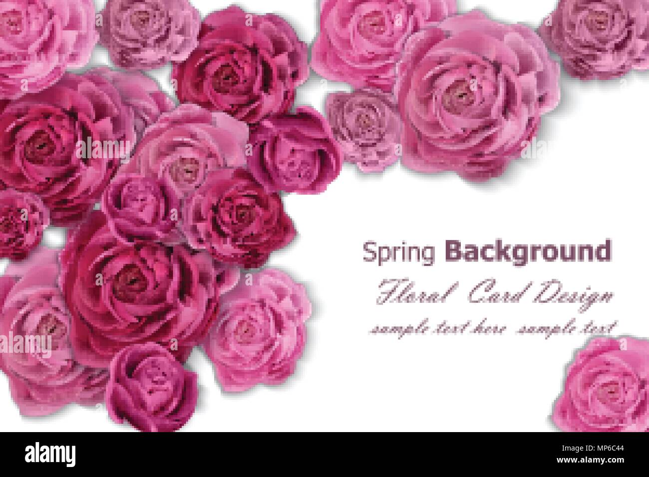 Invitation card with rose flowers decor. Vector illustration Stock ...