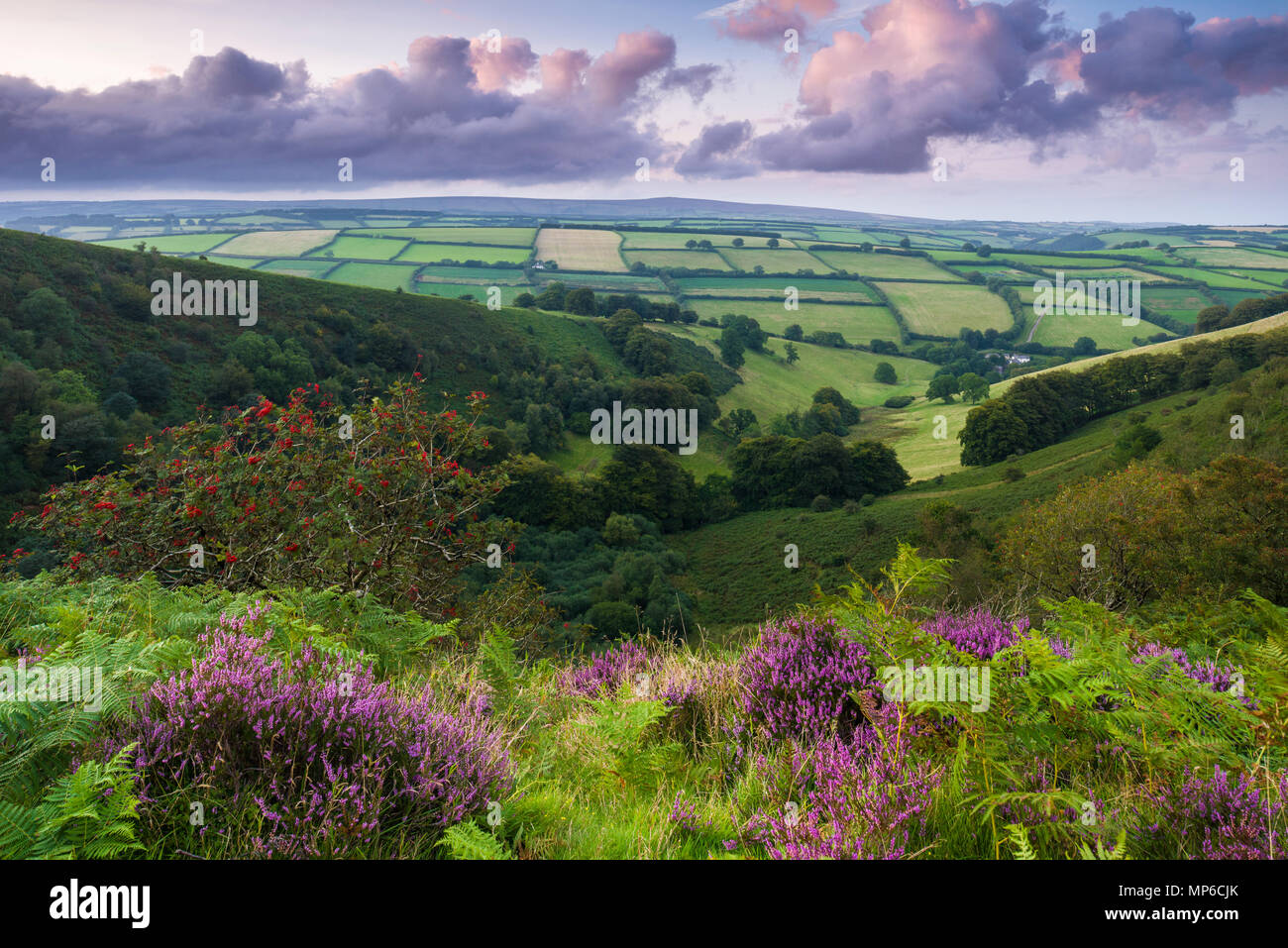 The Punchbowl at Winsford Hill in Exmoor National Park, Somerset, England. Stock Photo