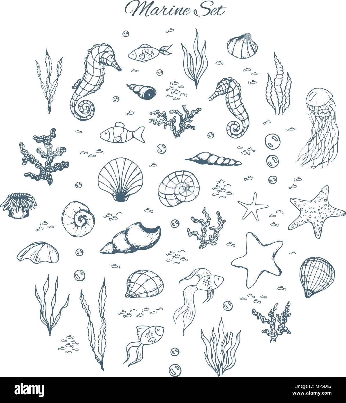 Cute sea creatures and underwater animals doodle set. Water turtle, whale,  octopus, jellyfish, crab and fish. Marine life elements in sketch style.  Outline vector illustration Stock Vector | Adobe Stock