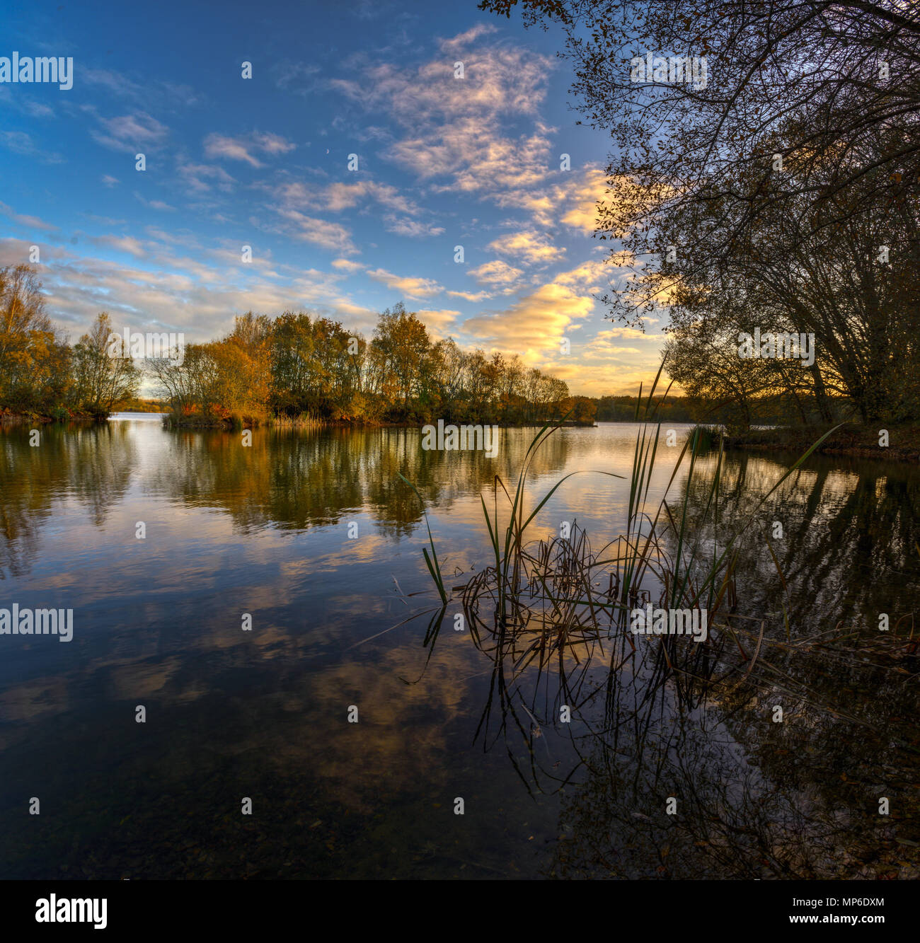 Tranquila tarde de otoño a la orilla del lago, riocaldo, Begonte Stock Photo