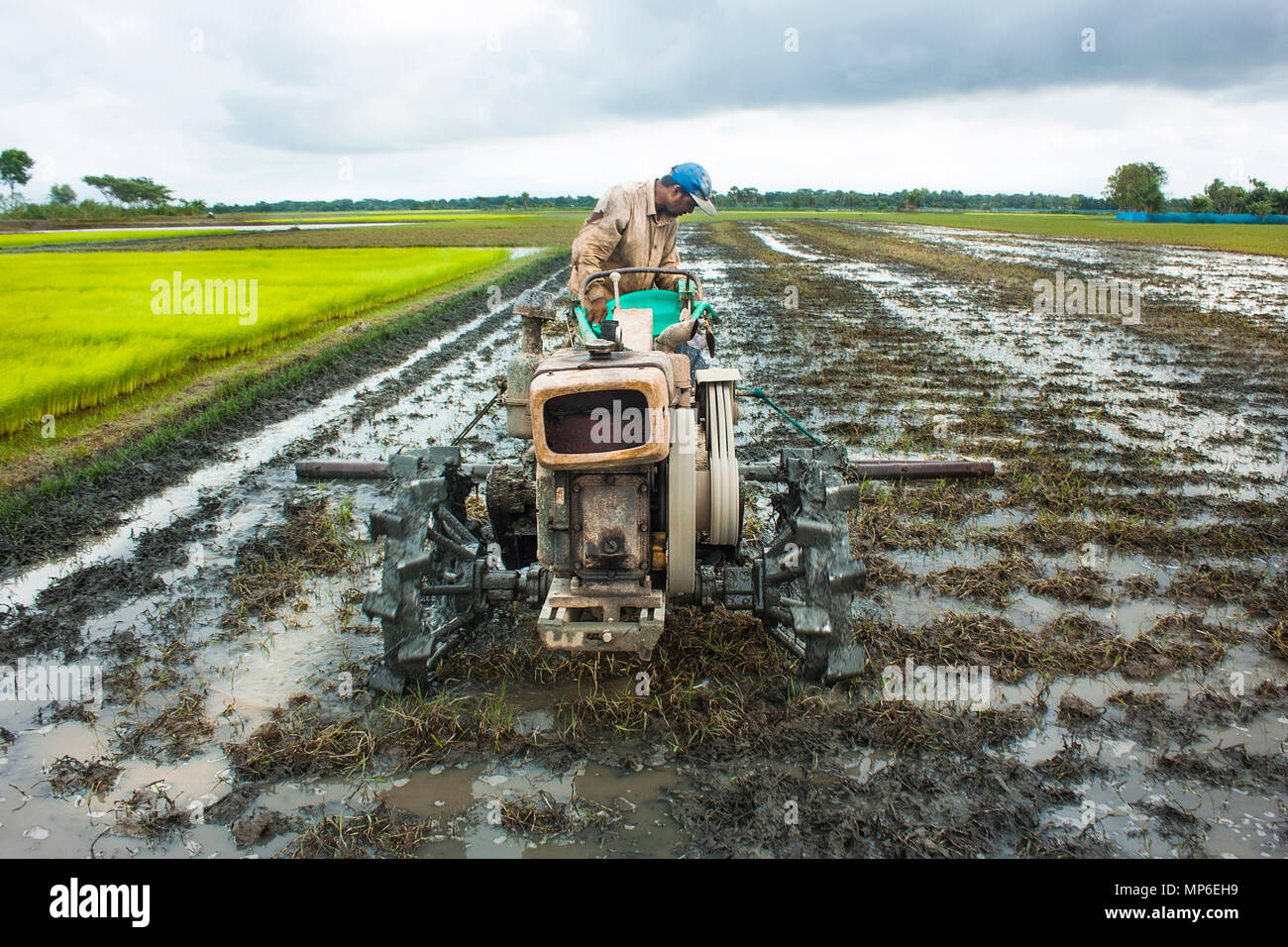 A man tilling his land with a power tiller.Khulna,Bangladesh.August 05