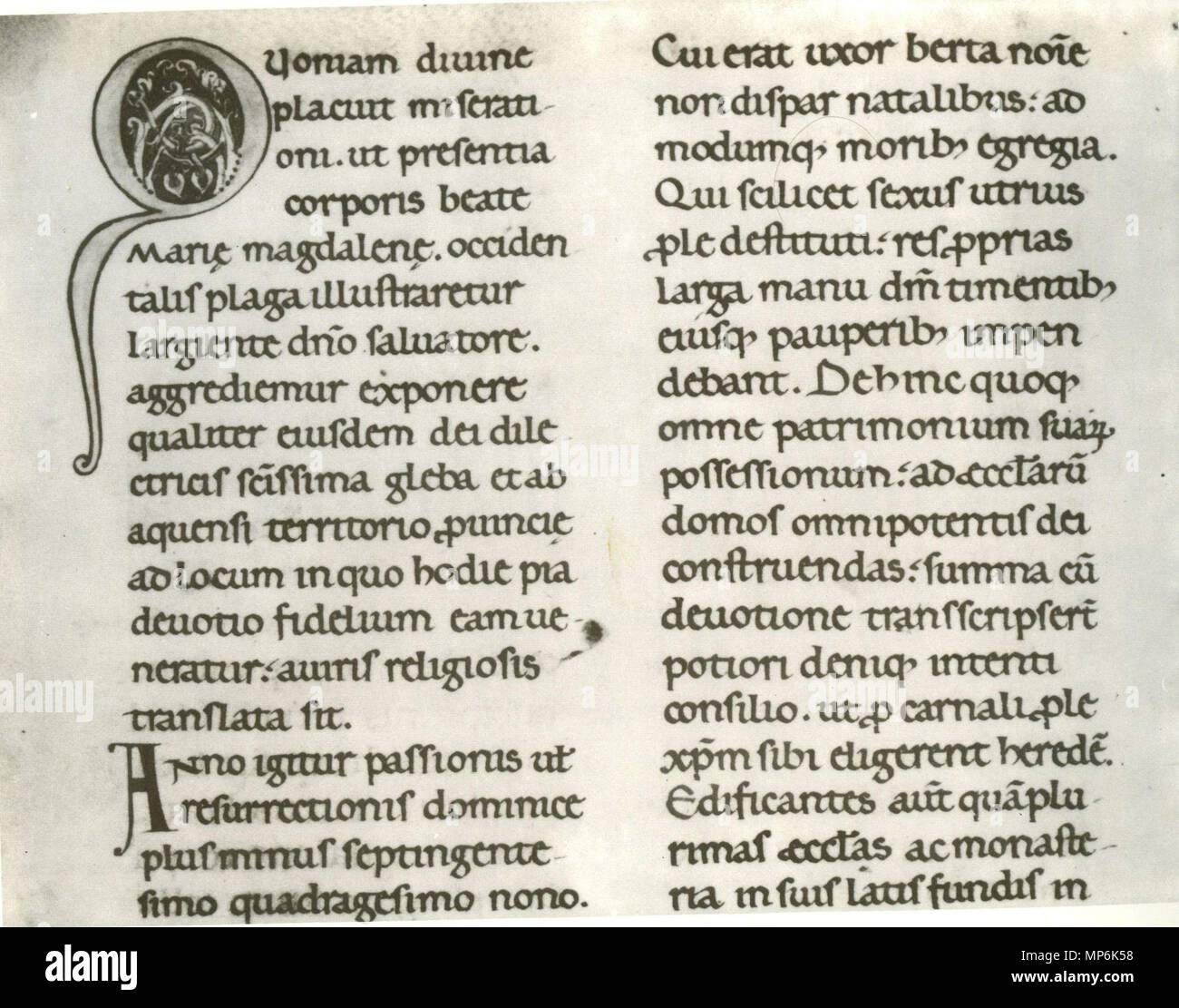 Rotunda Script Medieval alphabet vellum hi-res stock photography and images - Alamy