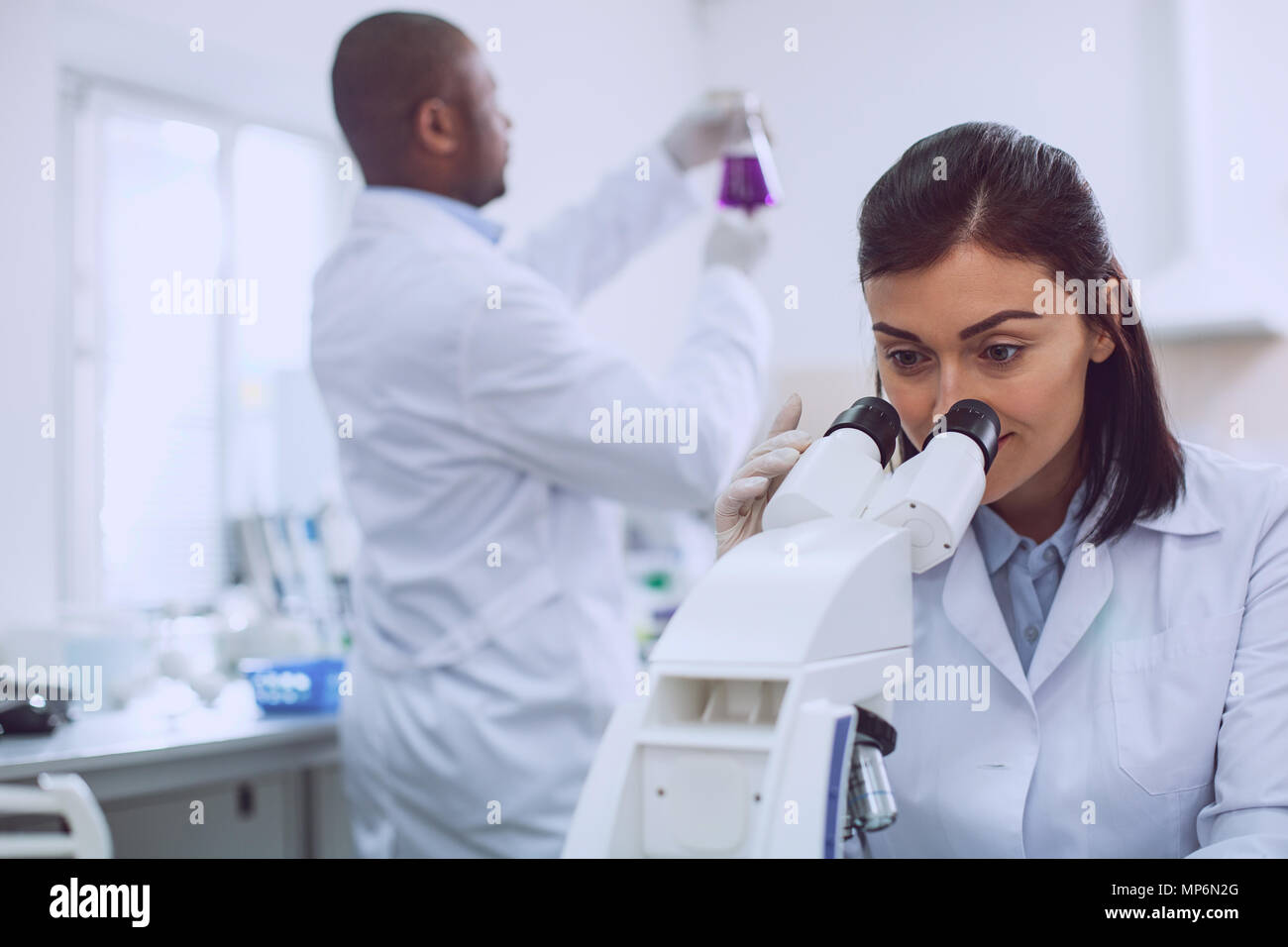 Skilled researcher looking into the microscope Stock Photo