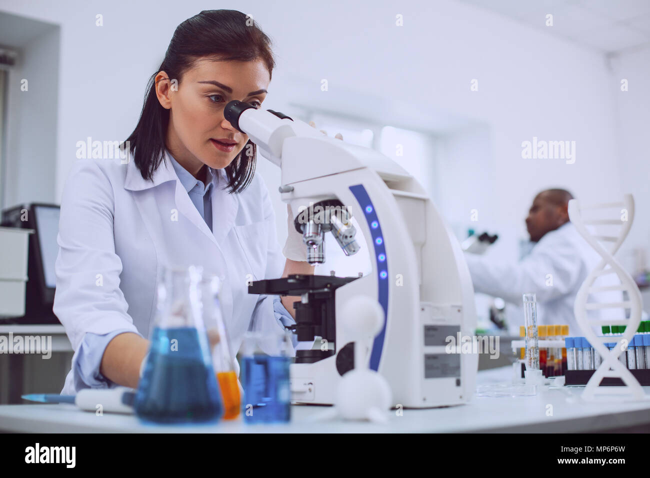 Determined biologist working in the lab Stock Photo