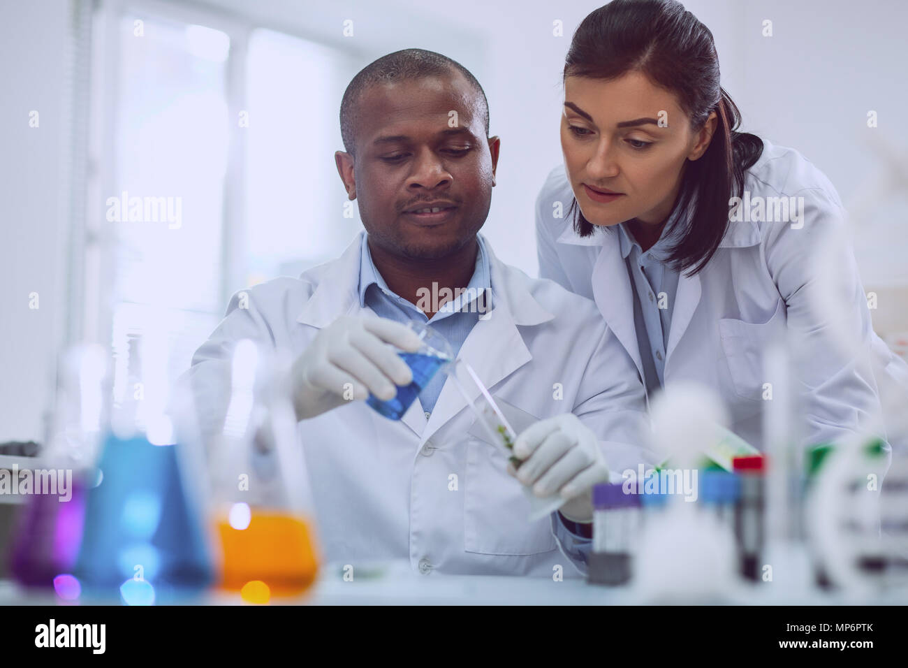 Alert scientist doing an important test Stock Photo