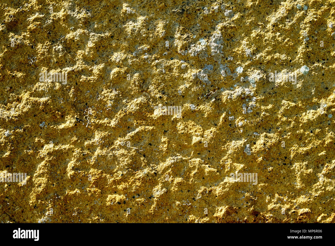 Lichens on a worked and highly textured stone full frame background Stock Photo
