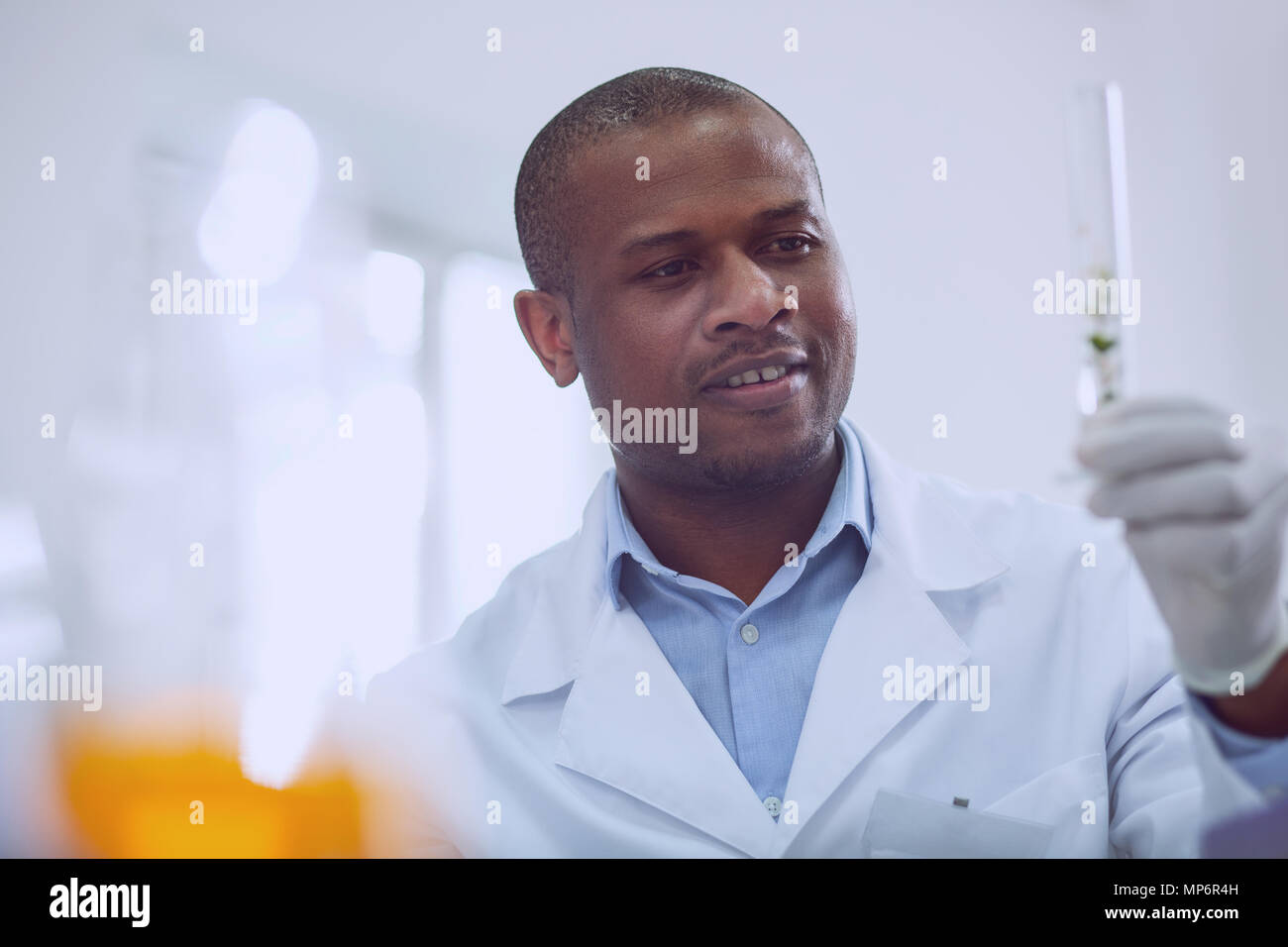 Inspired male scientist doing a new test Stock Photo