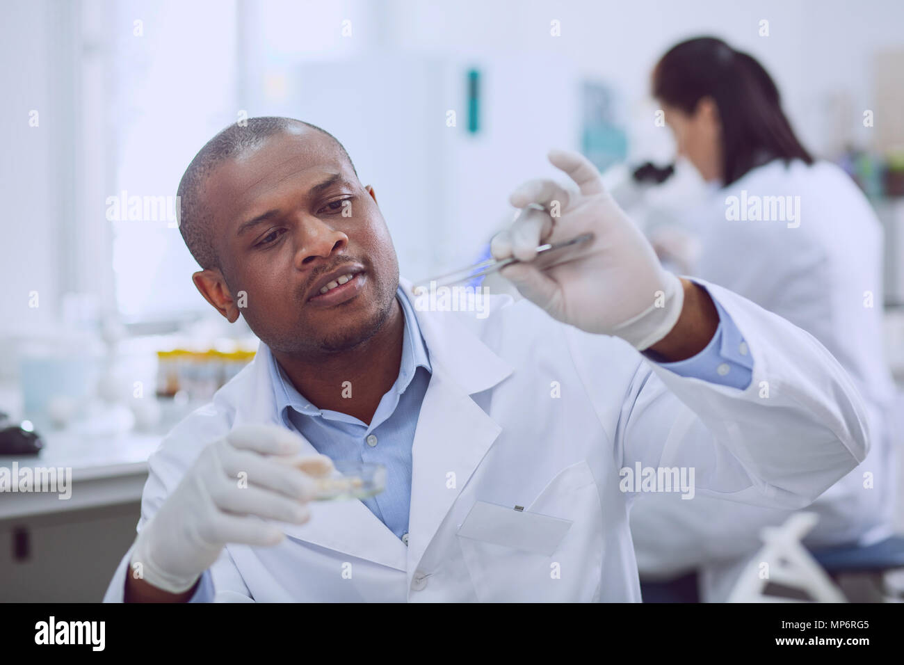 Chromosome biology hi-res stock photography and images - Alamy
