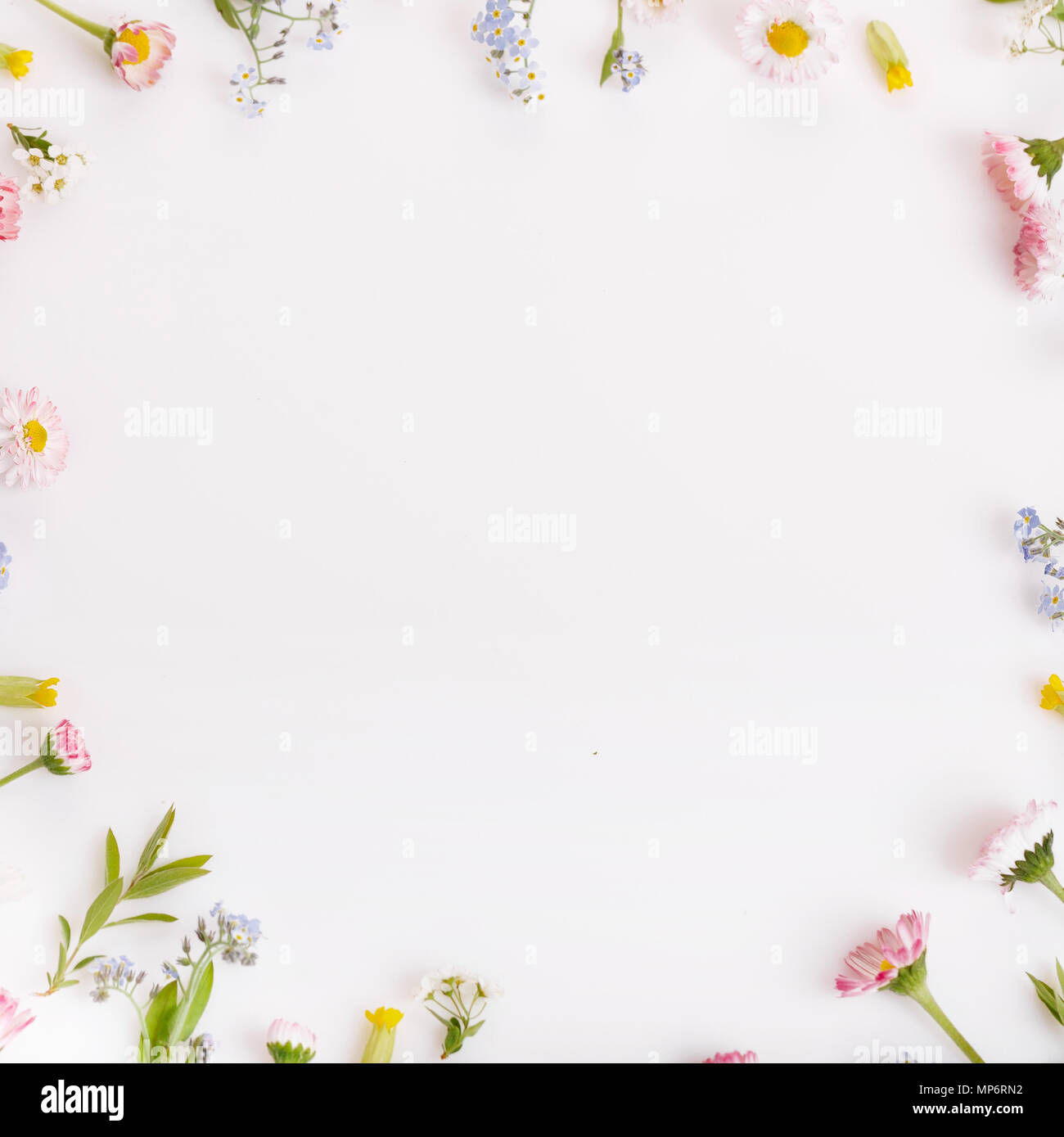 Pink flowers frame on white background Stock Photo - Alamy