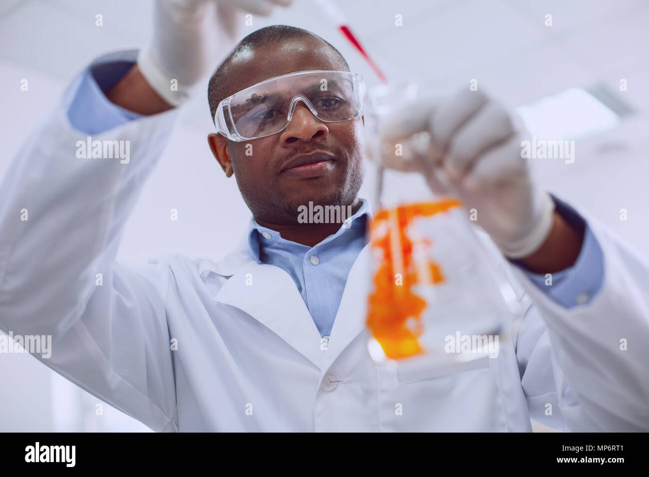 Experienced biologist working with tubes in the lab Stock Photo