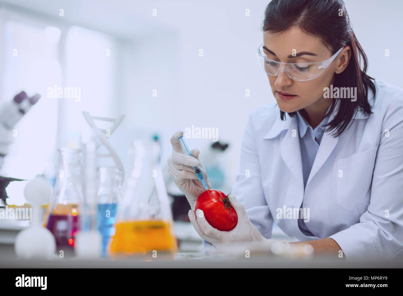 Determined female biologist modifying tomato Stock Photo