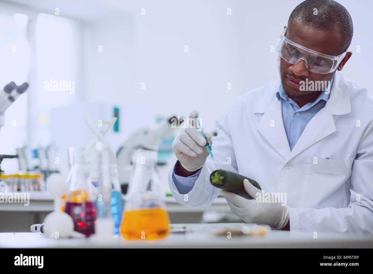 Serious afro-american researcher testing a marrow squash Stock Photo