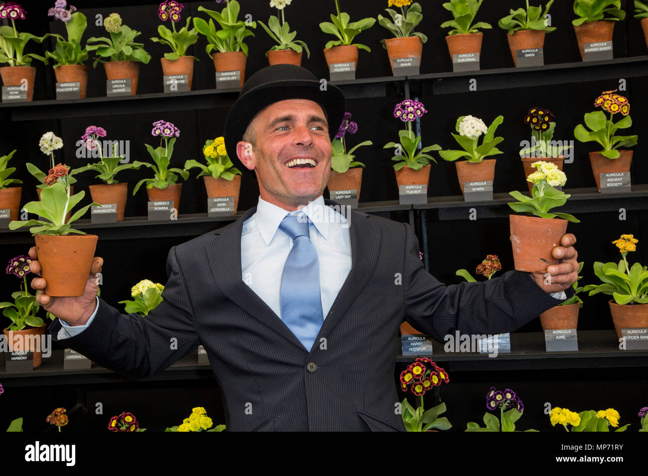 London, UK. 21 May 2018. Simon Lockyer of W & S Lockyer proudly shows off his Primula auricula plants. Press Day at the 2018 RHS Chelsea Flower Show which opens to the public on tomorrow. Photo: Bettina Strenske/Alamy Live News Stock Photo