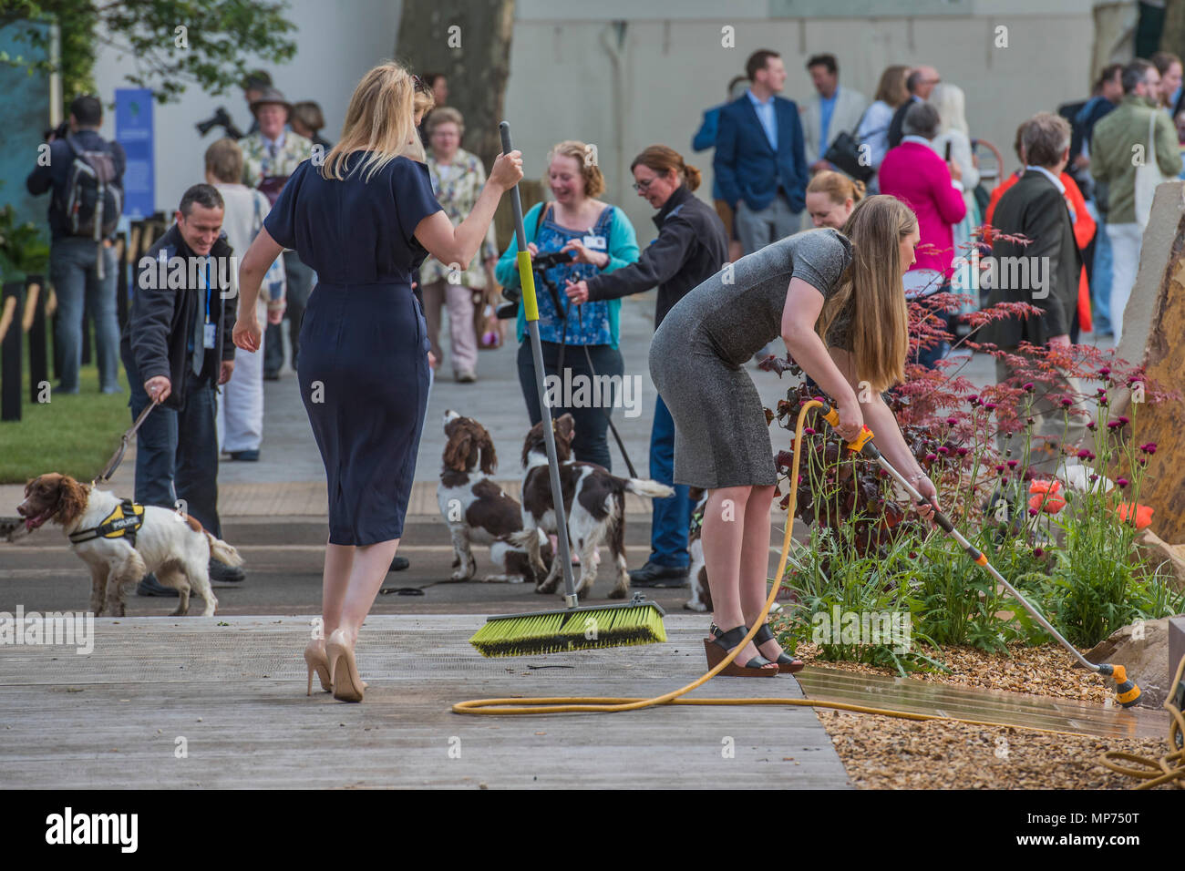 London, UK. 21st May 2018. Final preparations on the Marshalls stand as sniffer dogs look on - Press day at The RHS Chelsea Flower Show at the Royal Hospital, Chelsea. Credit: Guy Bell/Alamy Live News Stock Photo