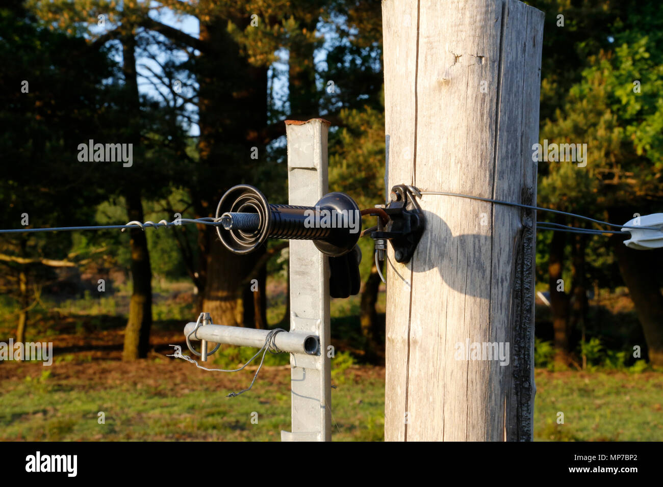 Bleached electric fence post Stock Photo Alamy