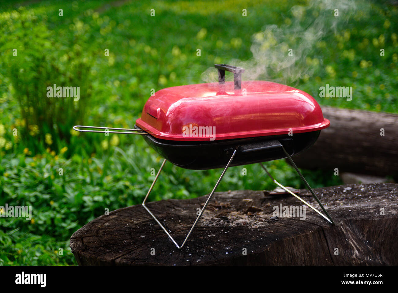 A bush camp bbq grill hi-res stock photography and images - Alamy