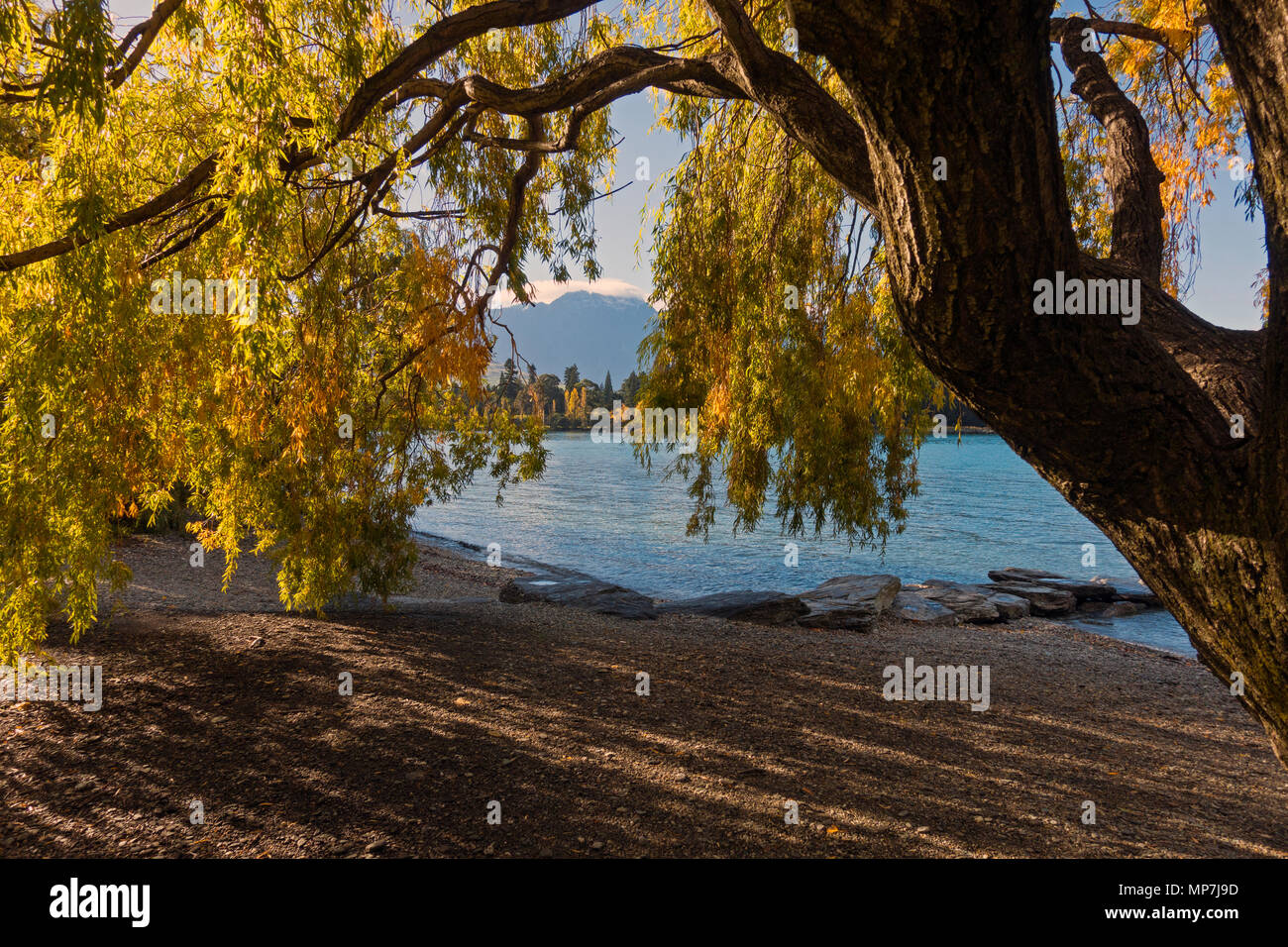 Lake Wakatipu at sunrise, Queenstown, South Island, New Zealand Stock ...