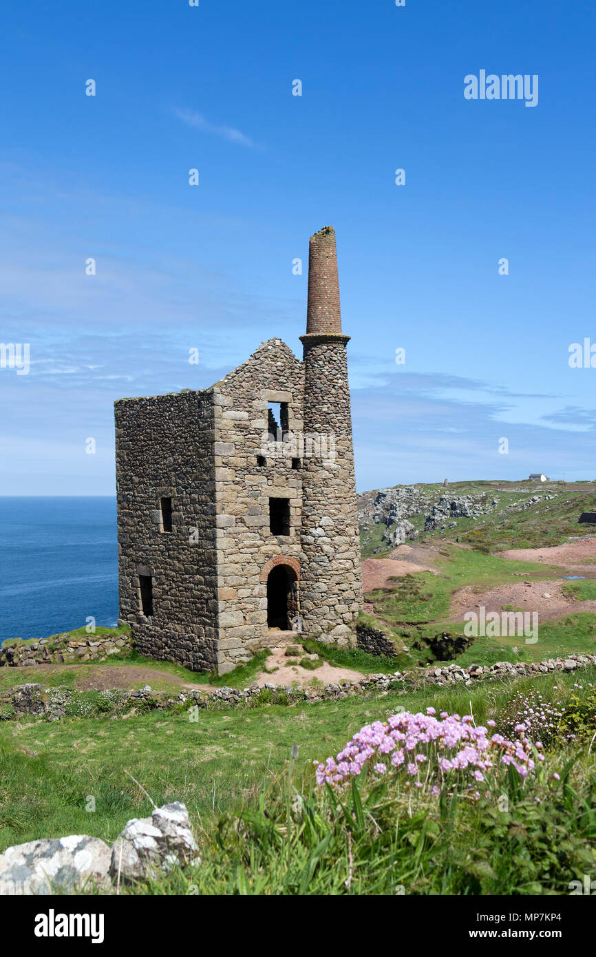 Thrift Flowers and Wheal Owles Mine From the South West Coast Path, Botallack, Near St Just, Cornwall, UK Stock Photo